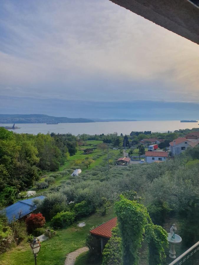 أنكاران Apartma Aleksandra المظهر الخارجي الصورة